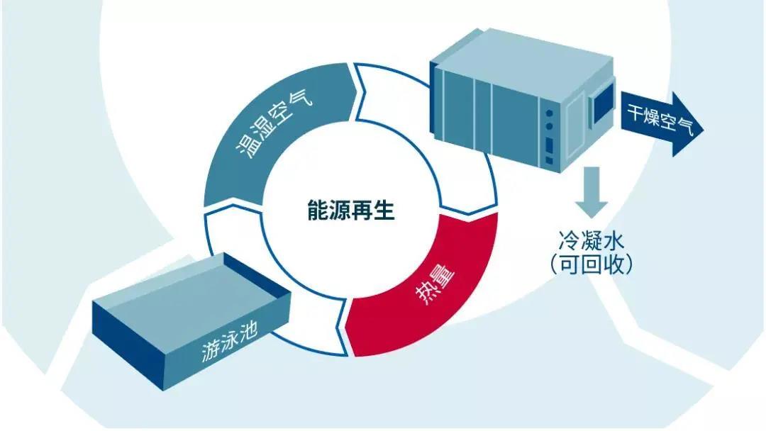低氯游泳館,無氯游泳池,低氯泳池，低氯系統(tǒng)