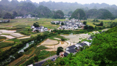 為什么要開展“農(nóng)村廁所革命”？